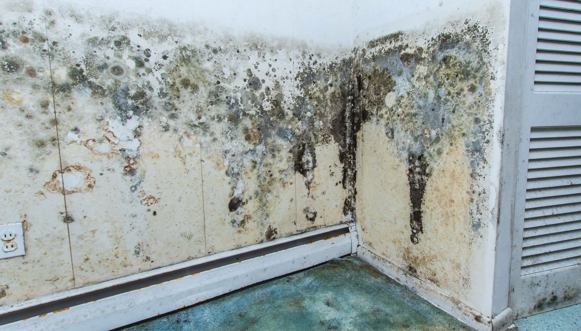 Professional mold removal, odor control, and water damage restoration service in Oakwood, Ohio.