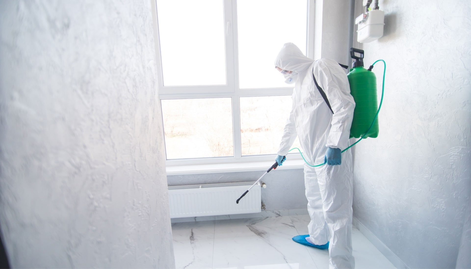 We provide the highest-quality mold inspection, testing, and removal services in the Oakwood, Ohio area.